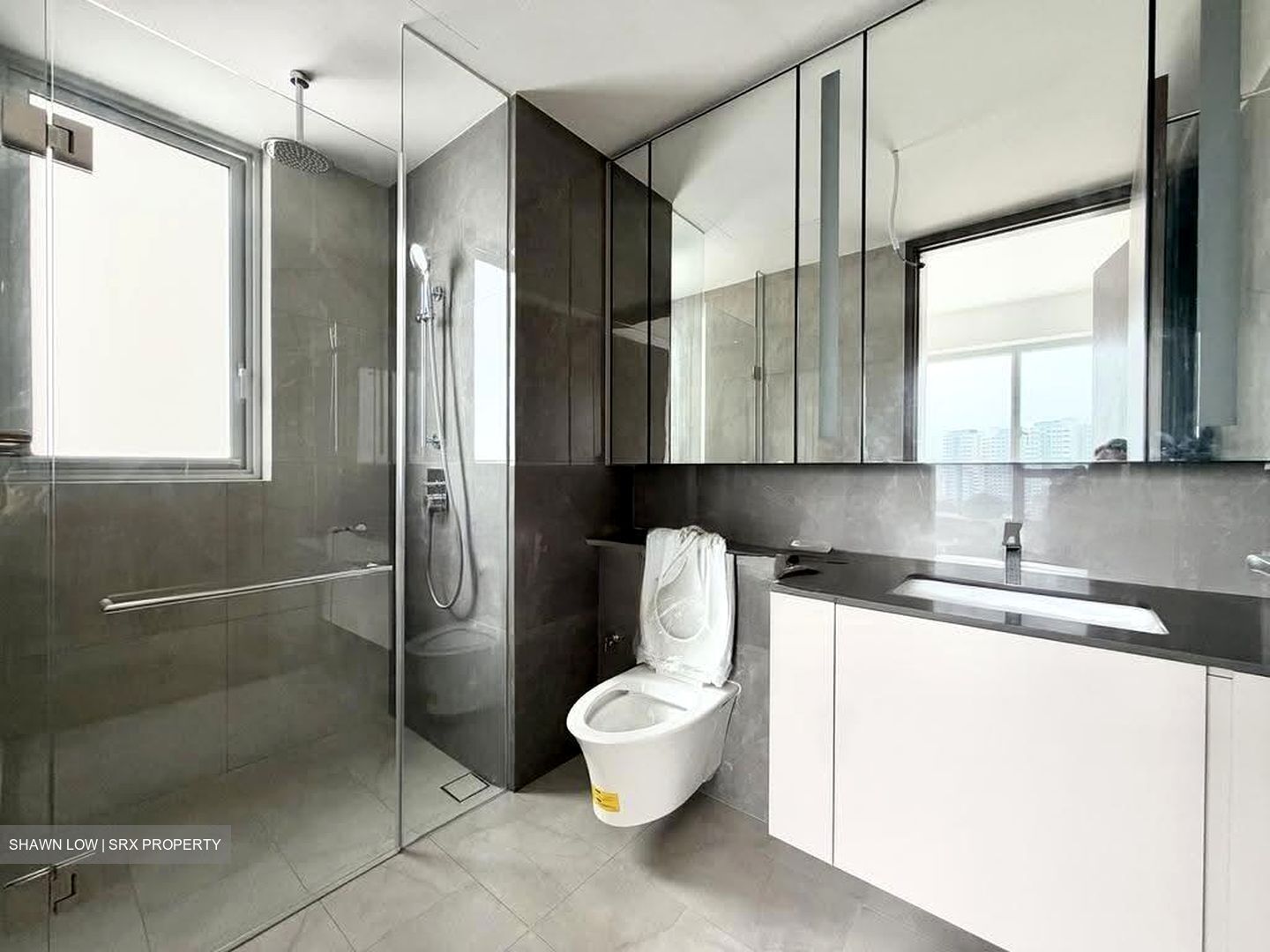 Grand Dunman (D15), Apartment #625585481